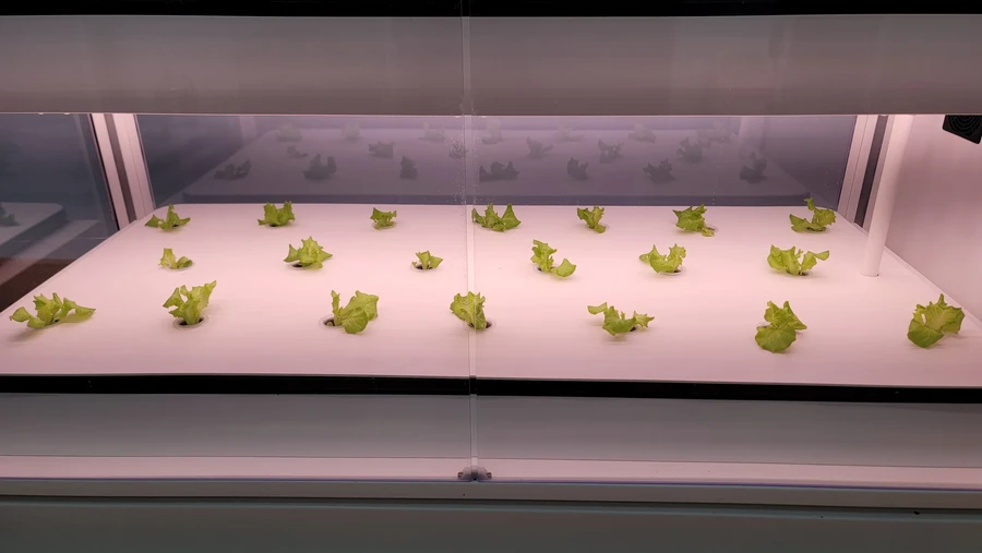 천안 성정초등학교 스마트팜 설치 현장